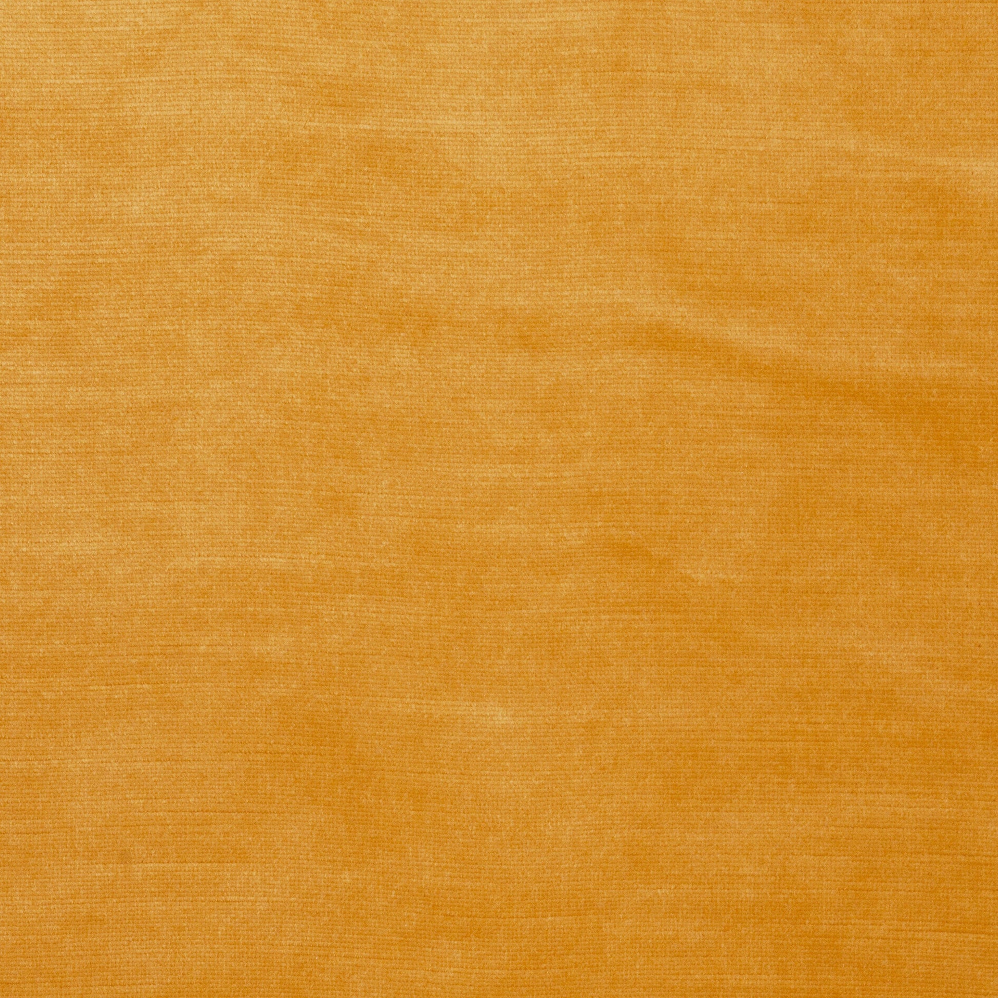 FINESSE VELVET Pillow Set | HONEY - Fineza