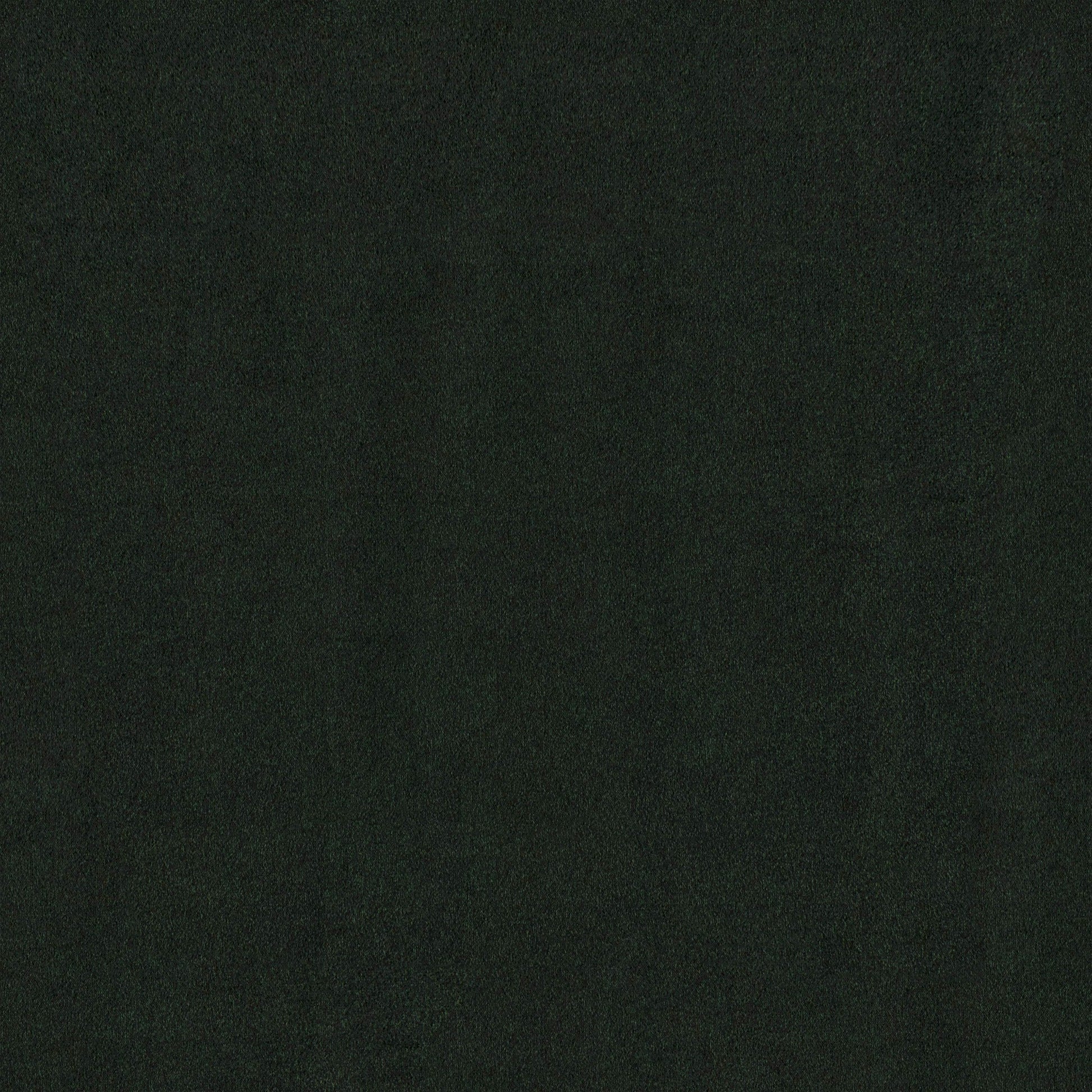 HOUSE VELOUR Pillow | PINE - Fineza